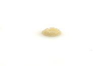 Verstralerset H1: ->'68, Cibie: nylon cup voor stelschroef